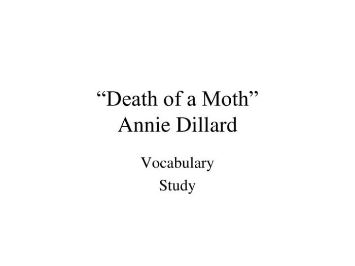 Death of a moth annie dillard